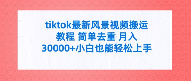 tiktok最新风景视频搬运教程 简单去重 月入3W+小白也能轻松上手【揭秘】-21资源库