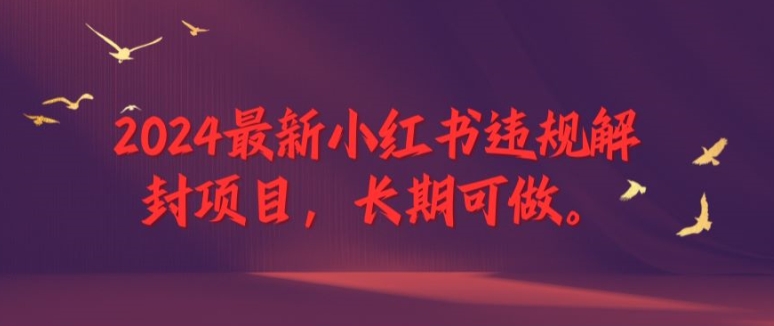 2024最新小红书违规解封项目，长期可做，一个可以做到退休的项目【揭秘】-21资源库