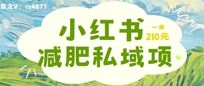 小红书减肥粉，私域变现项目，一单就达210元，小白也能轻松上手【揭秘】-21资源库