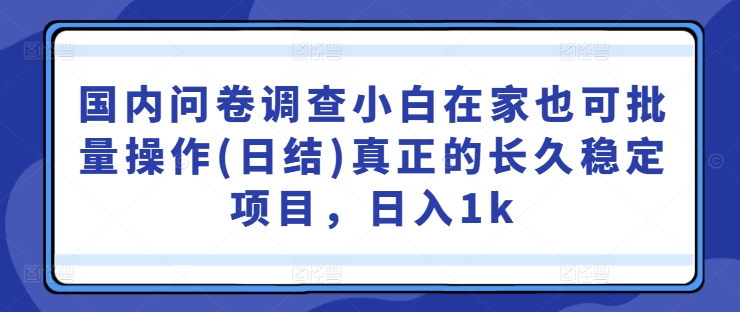 国内问卷调查小白在家也可批量操作(日结)真正的长久稳定项目，日入1k【揭秘】-21资源库