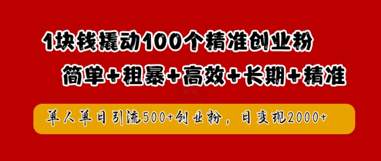 1块钱撬动100个精准创业粉，简单粗暴高效长期精准，单人单日引流500+创业粉，日变现2k【揭秘】-21资源库