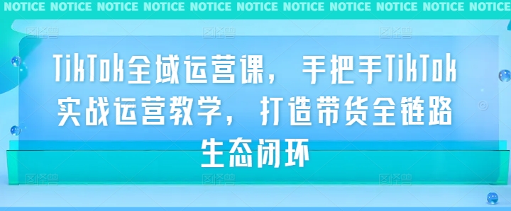 TikTok全域运营课，手把手TikTok实战运营教学，打造带货全链路生态闭环-21资源库