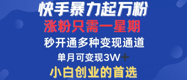 快手暴力起万粉，涨粉只需一星期，多种变现模式，直接秒开万合，单月变现过W【揭秘】-21资源库