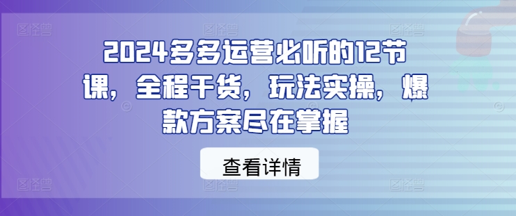 2024多多运营必听的12节课，全程干货，玩法实操，爆款方案尽在掌握-21资源库