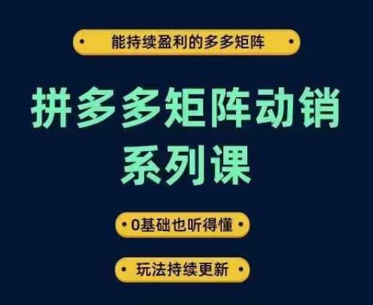 拼多多矩阵动销系列课，能持续盈利的多多矩阵，0基础也听得懂，玩法持续更新-21资源库