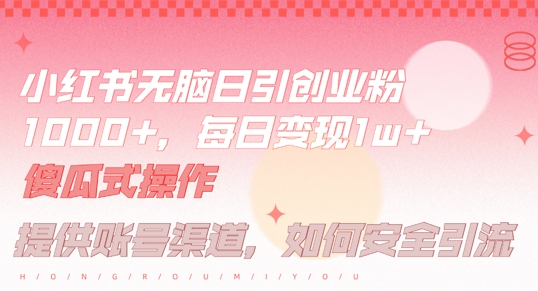 小红书无脑每日引流创业粉500+，小白每天只花半小时，躺赚长尾收益【揭秘】-21资源库