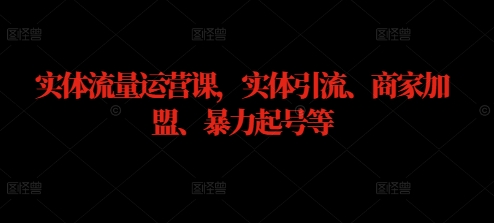 实体流量运营课，实体引流、商家加盟、暴力起号等-21资源库
