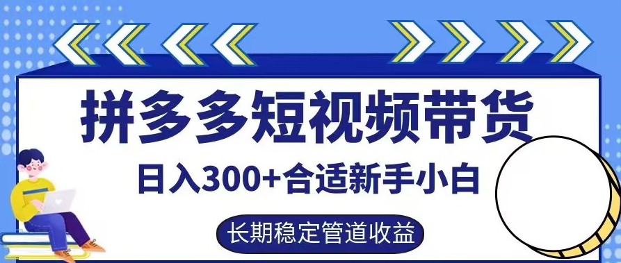 拼多多短视频带货日入300+有长期稳定被动收益，合适新手小白【揭秘】-21资源库