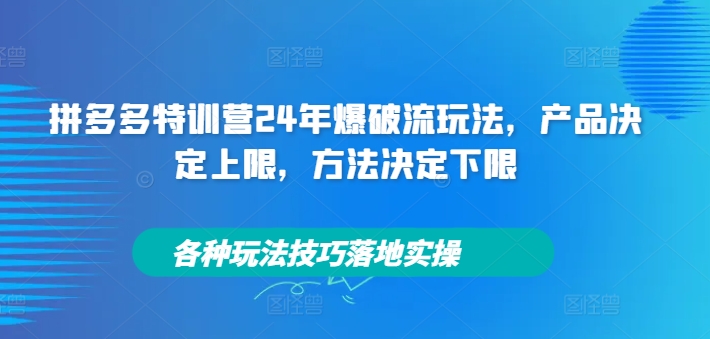 拼多多特训营24年爆破流玩法，产品决定上限，方法决定下限，各种玩法技巧落地实操-21资源库