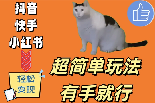 超简单玩法，有手就行，靠猫咪视频日入500+【揭秘】-21资源库