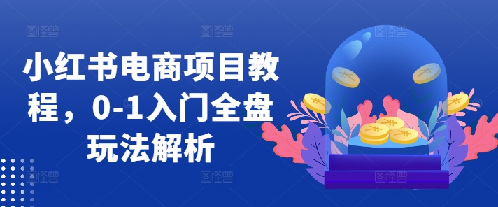 小红书电商项目教程，0-1入门全盘玩法解析-21资源库