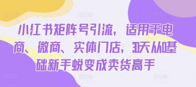 小红书矩阵号引流，适用于电商、微商、实体门店，30天从0基础新手蜕变成卖货高手-21资源库