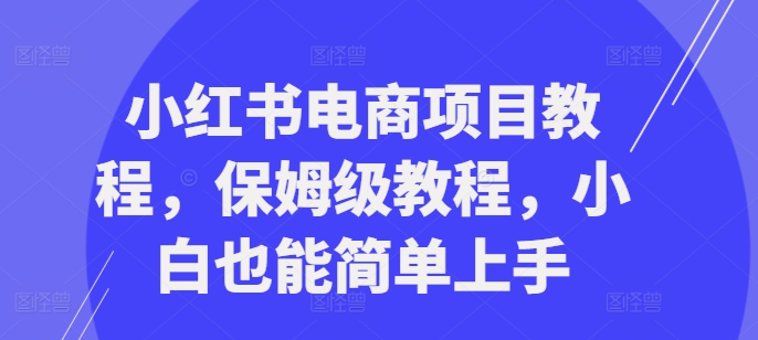 小红书电商项目教程，保姆级教程，小白也能简单上手-21资源库