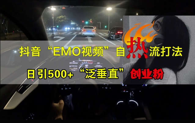 抖音EMO视频自热打法，日引500+“泛垂直”创业粉-21资源库