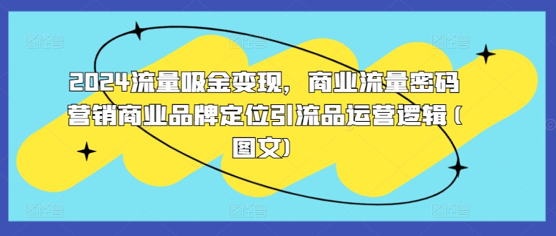 2024流量吸金变现，商业流量密码营销商业品牌定位引流品运营逻辑(图文)-21资源库