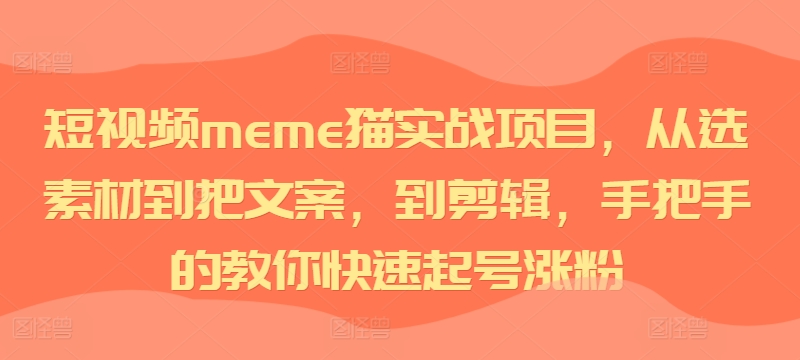 短视频meme猫实战项目，从选素材到把文案，到剪辑，手把手的教你快速起号涨粉-21资源库