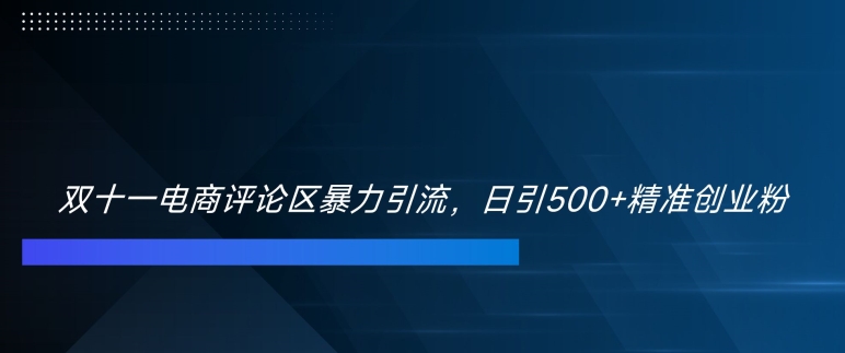 双十一电商评论区暴力引流，日引500+精准创业粉【揭秘】-21资源库