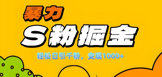 单人单机日引千粉，变现1k+，S粉流量掘金计划攻略【揭秘】-21资源库