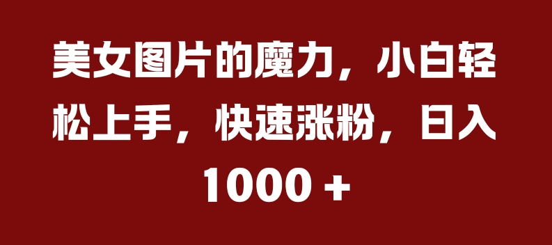 美女图片的魔力，小白轻松上手，快速涨粉，日入几张【揭秘】-21资源库