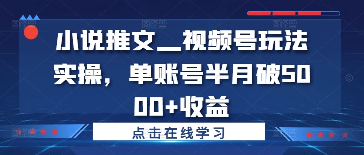小说推文—视频号玩法实操，单账号半月破5000+收益-21资源库