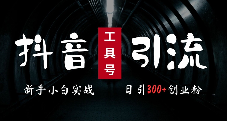 2024最新抖音工具号引流玩法，高效日引300+创业粉，当天变现5k，小白也可成为实战高手-21资源库