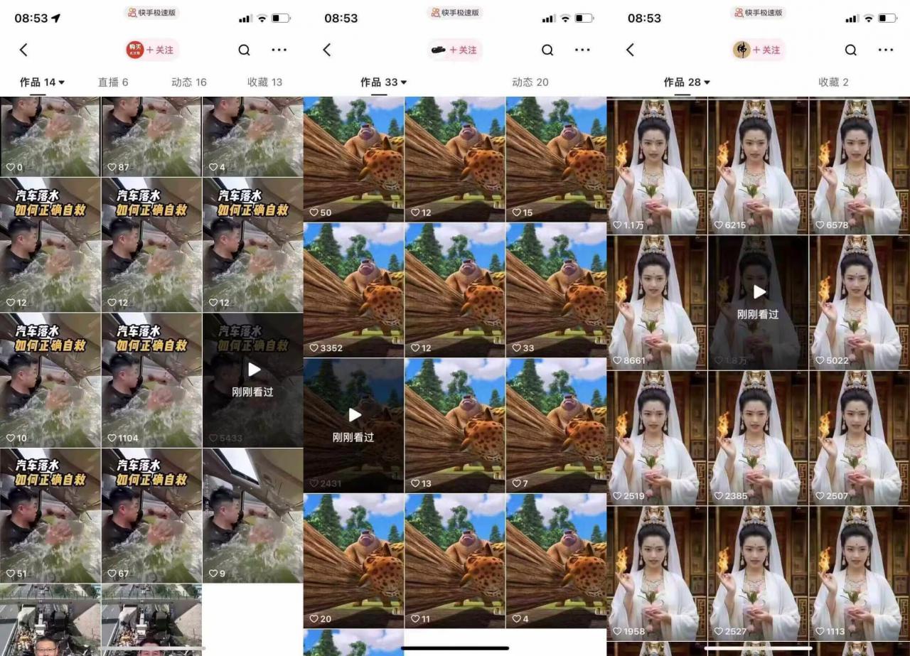 狗熊岭快手连怼技术，好物，涨粉都可以连怼-21资源库