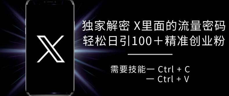 独家解密 X 里面的流量密码，复制粘贴轻松日引100+-21资源库