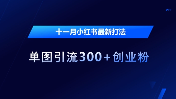 十一月小红书最新打法，单图引流300+创业粉【揭秘】-21资源库