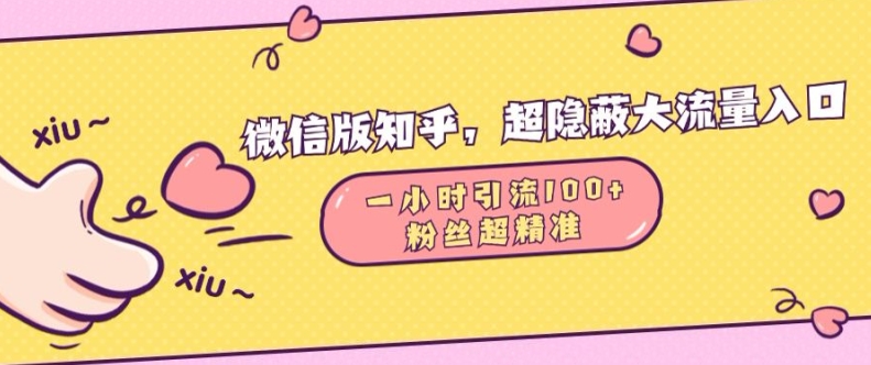 微信版知乎，超隐蔽流量入口1小时引流100人，粉丝质量超高【揭秘】-21资源库