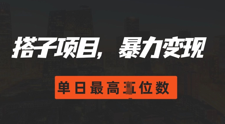 2024搭子玩法，0门槛，暴力变现，单日最高破四位数【揭秘】-21资源库