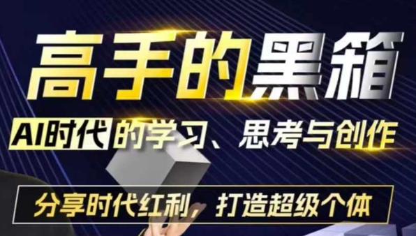 高手的黑箱：AI时代学习、思考与创作-分红时代红利，打造超级个体-21资源库