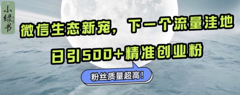 微信生态新宠小绿书：下一个流量洼地，日引500+精准创业粉，粉丝质量超高-21资源库