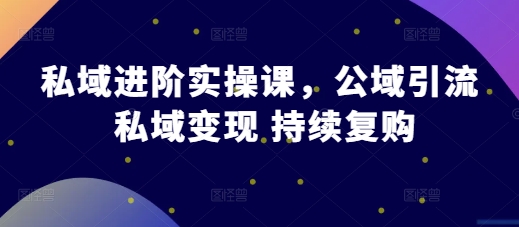 私域进阶实操课，公域引流 私域变现 持续复购-21资源库
