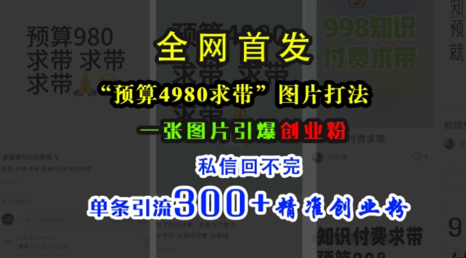 小红书“预算4980带我飞”图片打法，一张图片引爆创业粉，私信回不完，单条引流300+精准创业粉-21资源库