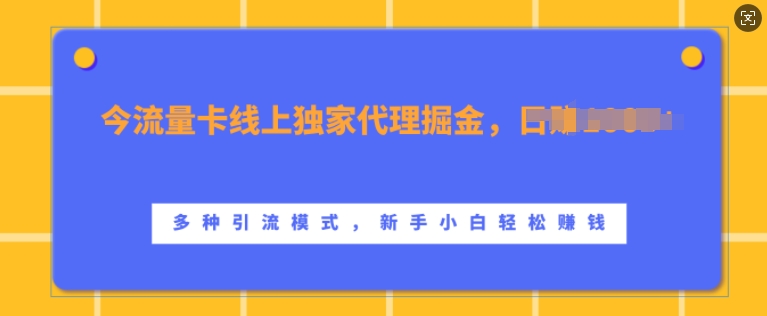 流量卡线上独家代理掘金，日入1k+ ，多种引流模式，新手小白轻松上手【揭秘】-21资源库