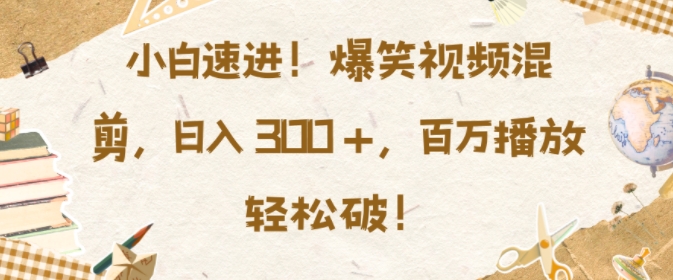小白速进，爆笑视频混剪，日入3张，百万播放轻松破【揭秘】-21资源库