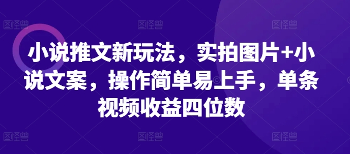 小说推文新玩法，实拍图片+小说文案，操作简单易上手，单条视频收益四位数-21资源库