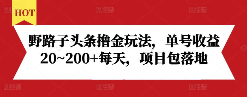 野路子头条撸金玩法，单号收益20~200+每天，项目包落地-21资源库