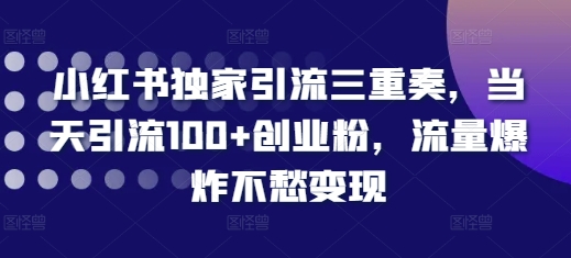 小红书独家引流三重奏，当天引流100+创业粉，流量爆炸不愁变现【揭秘】-21资源库