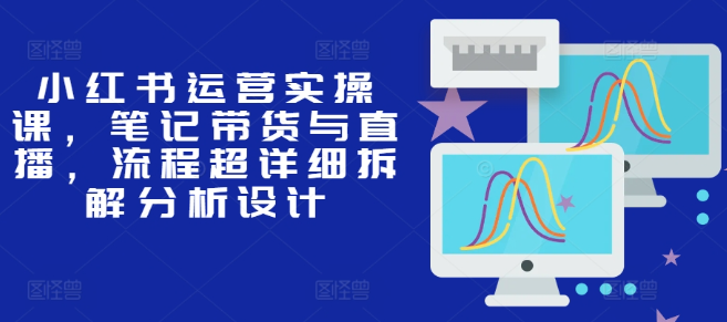 小红书运营实操课，笔记带货与直播，流程超详细拆解分析设计-21资源库