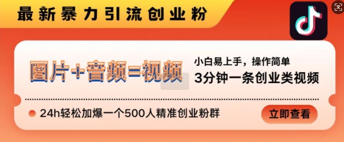 抖音最新暴力引流创业粉，3分钟一条创业类视频，24h轻松加爆一个500人精准创业粉群【揭秘】-21资源库