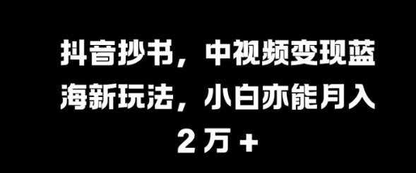 抖音抄书，中视频变现蓝海新玩法，小白亦能月入 过W【揭秘】-21资源库