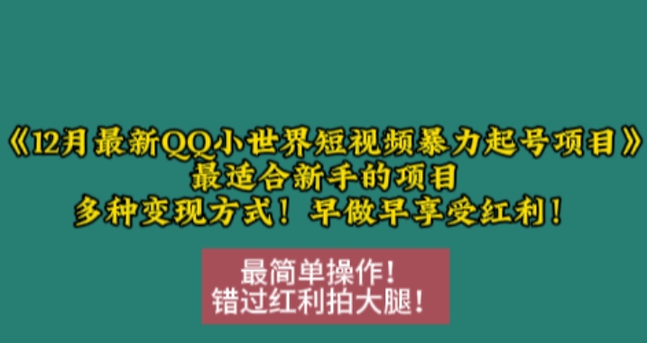 12月最新QQ小世界短视频暴力起号项目，最适合新手的项目，多种变现方式-21资源库