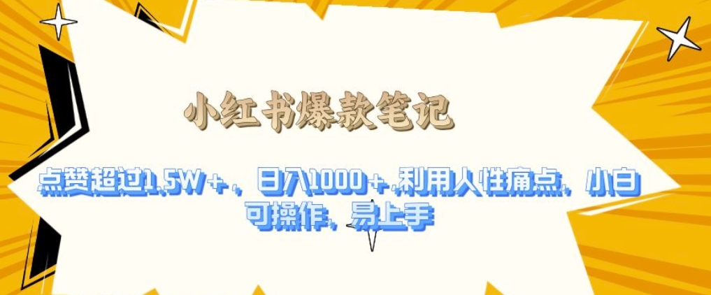 利用人性的痛点，打造爆款笔记，获得点赞超过1.5W+，日入1k【揭秘】-21资源库