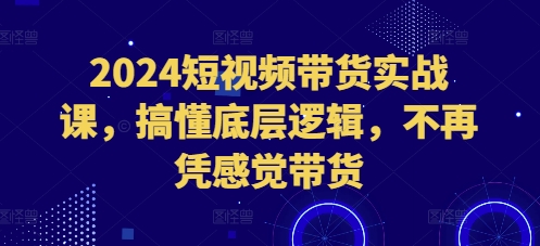 2024短视频带货实战课，搞懂底层逻辑，不再凭感觉带货-21资源库