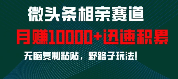 微头条相亲赛道，迅速积累，无脑复制粘贴，野路子玩法，月入1w-21资源库