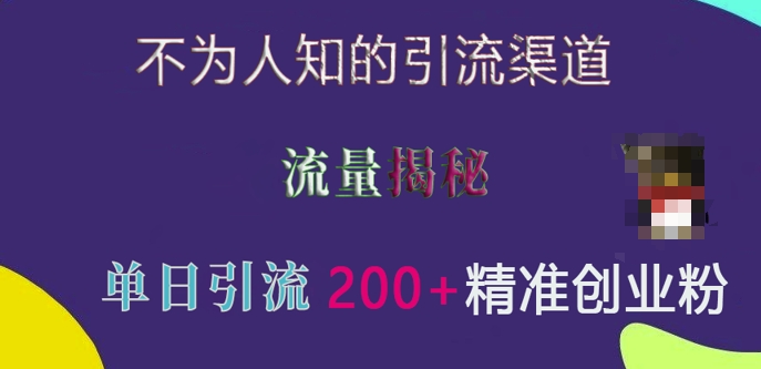 不为人知的引流渠道，流量揭秘，实测单日引流200+精准创业粉【揭秘】-21资源库