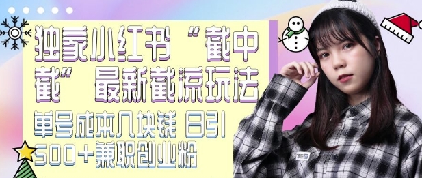 最新小红书截流玩法 独家截中截 单号成本几块钱 日引500+CY粉JZ粉-21资源库