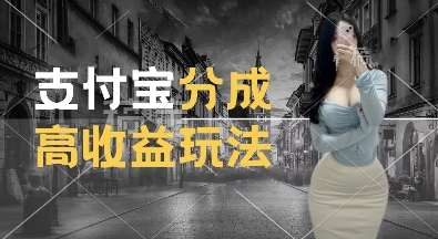 支付宝分成计划新玩法，利用交通事故视频，赚收益，轻松月入过W，操作简单【揭秘】-21资源库