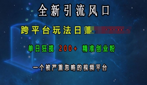全新引流风口，跨平台玩法日入上k，单日狂揽200+精准创业粉，一个被严重忽略的视频平台-21资源库